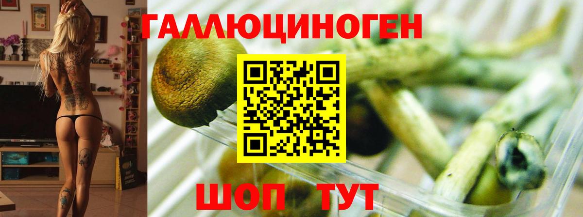 Галлюциногенные грибы Psilocybe  Псилоцибиновые грибы Magic Shrooms  Вход с VPN  Сергиев Посад 